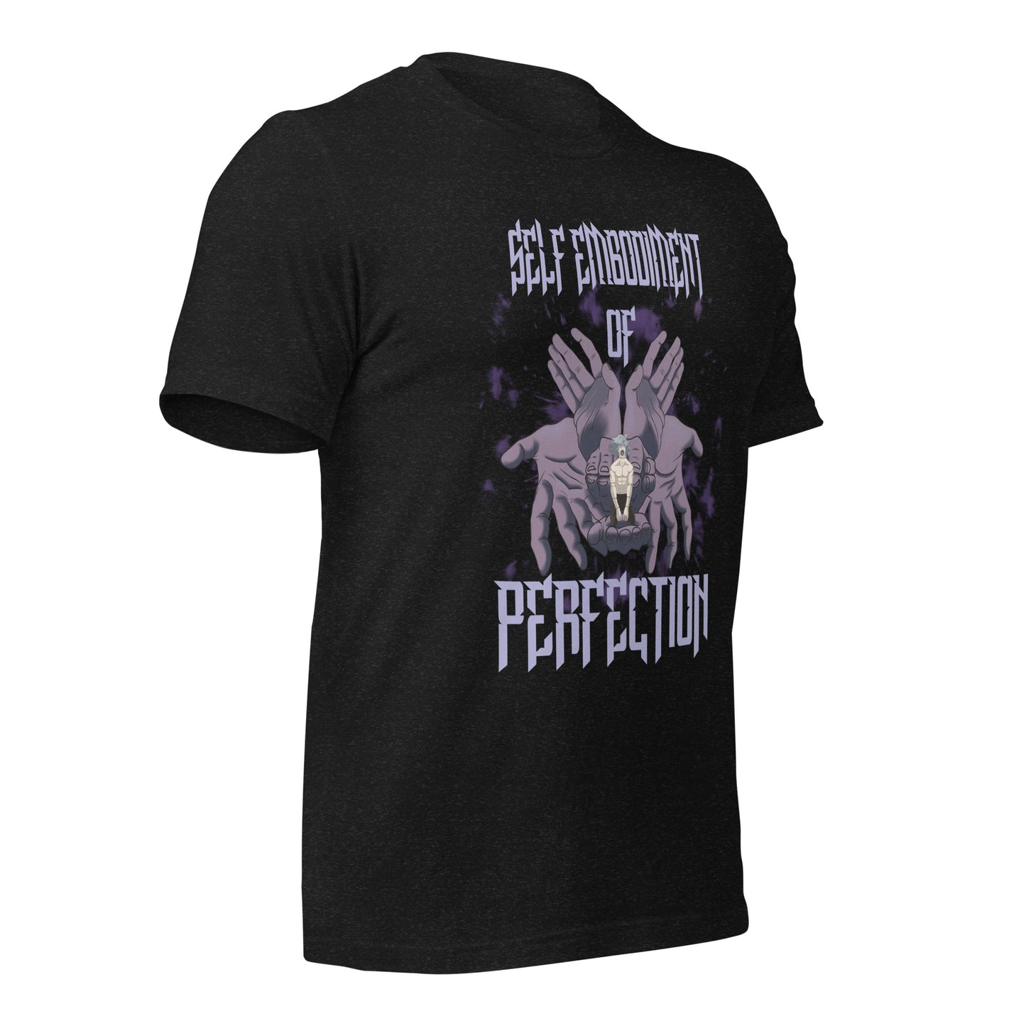 Perfection Unisex t-shirt