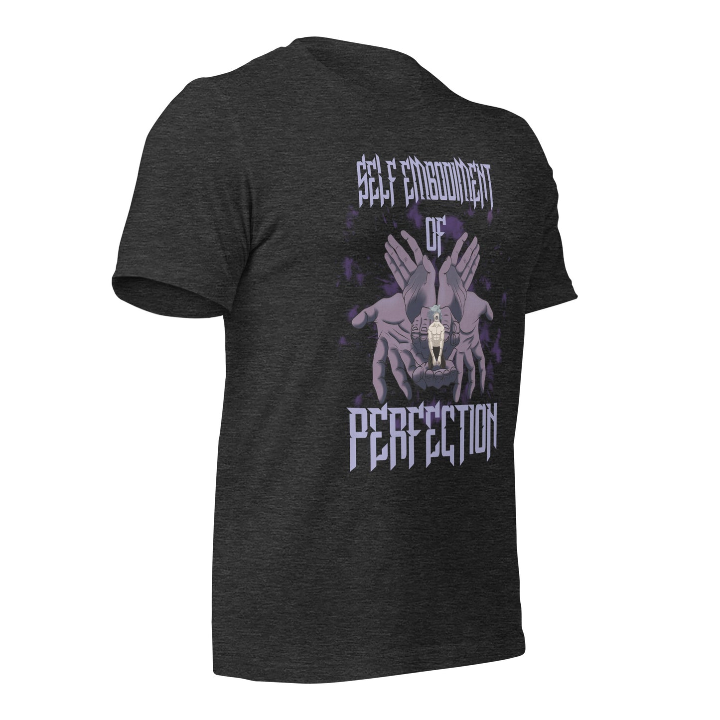 Perfection Unisex t-shirt
