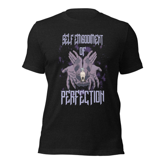 Perfection Unisex t-shirt